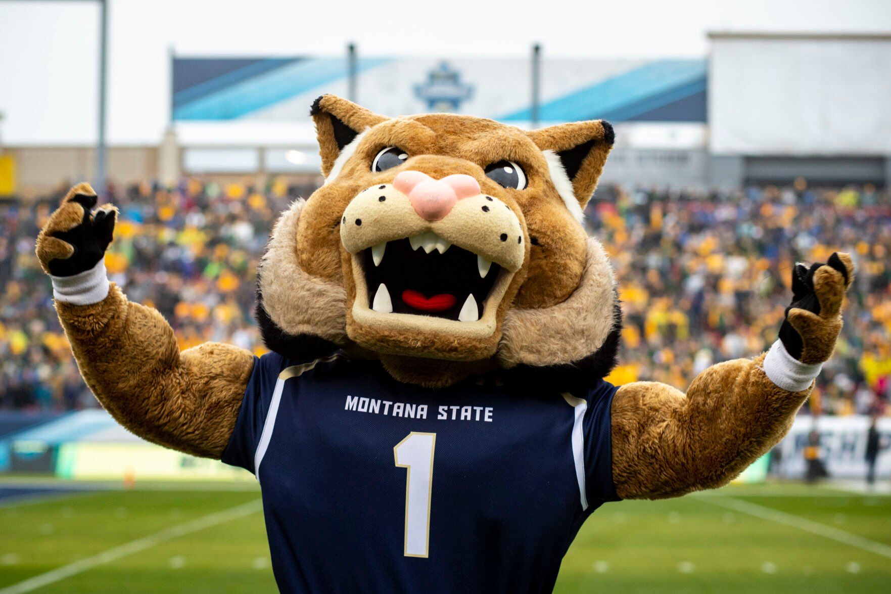 FCS National Championship